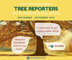 GLOBE Europe and Eurasia: 2024 Tree Reporters Challenge