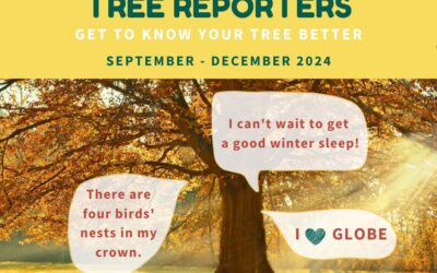 GLOBE Europe and Eurasia 2024 Tree Reporters Challenge