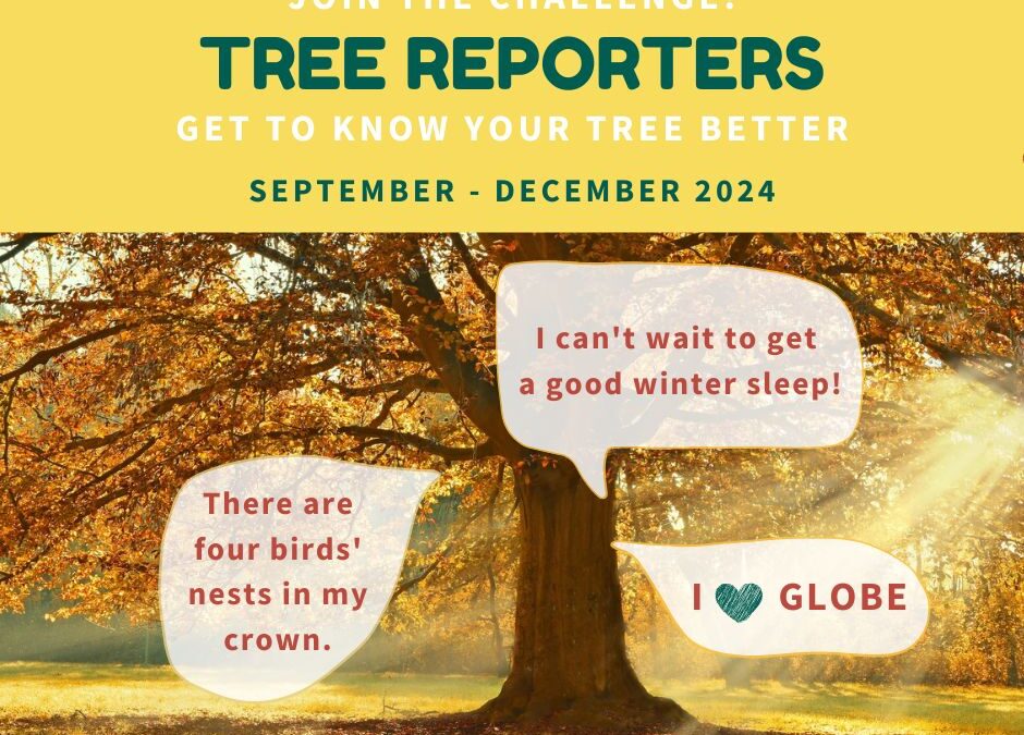 GLOBE Europe and Eurasia 2024 Tree Reporters Challenge