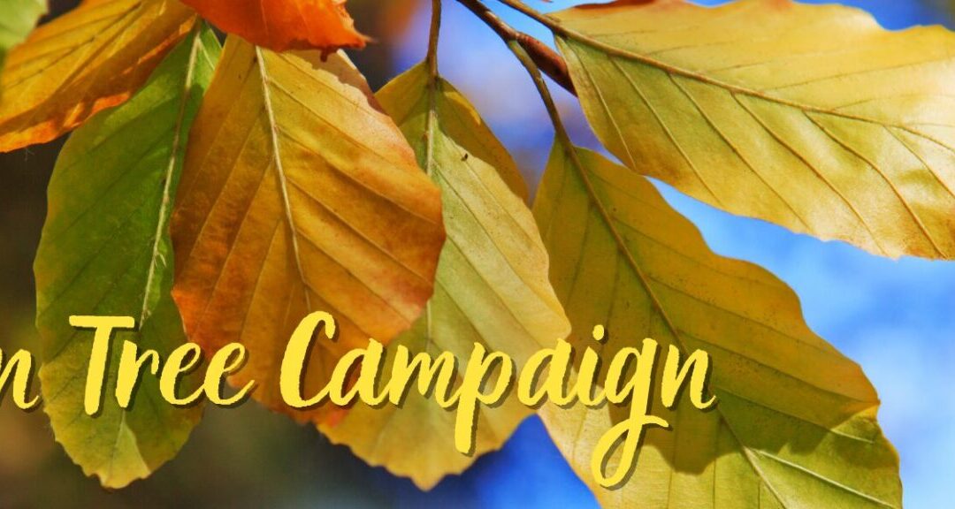 Europe and Eurasia Tree (Phenology) Campaign