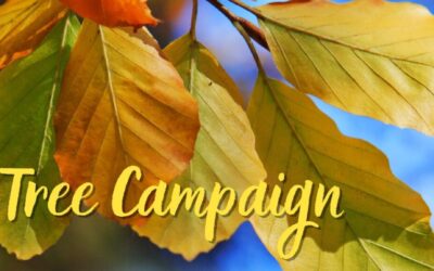 Europe and Eurasia Tree (Phenology) Campaign