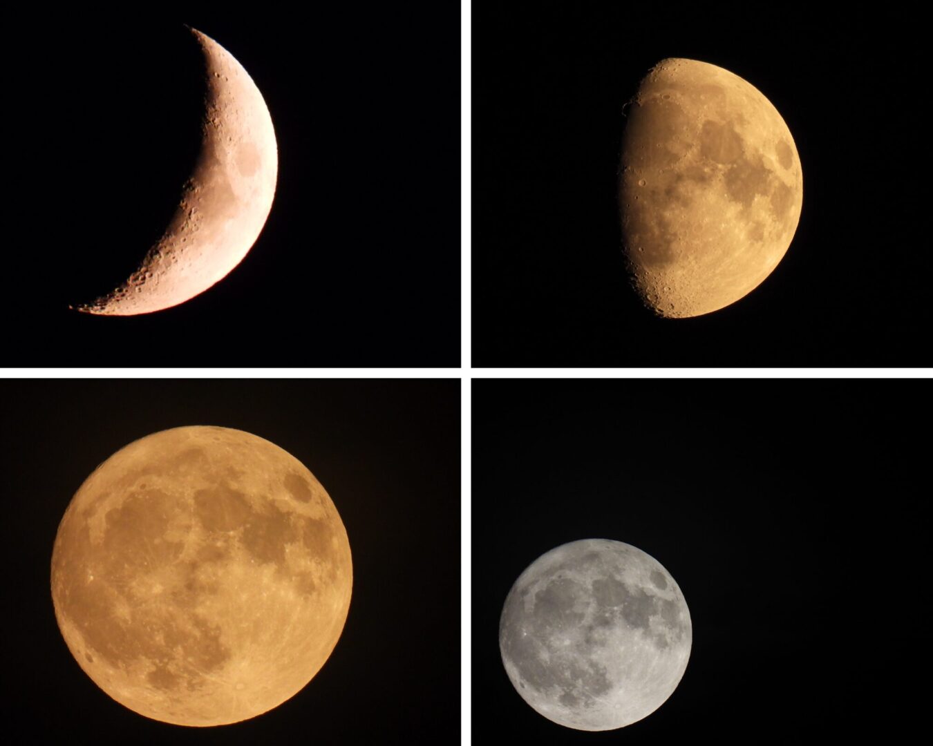 Graduation photo collage (4)